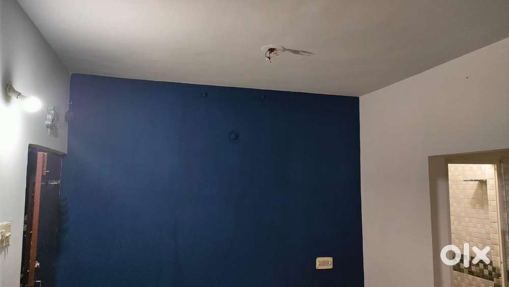 bechlors allowed and pet also