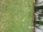 Prime location land on sale