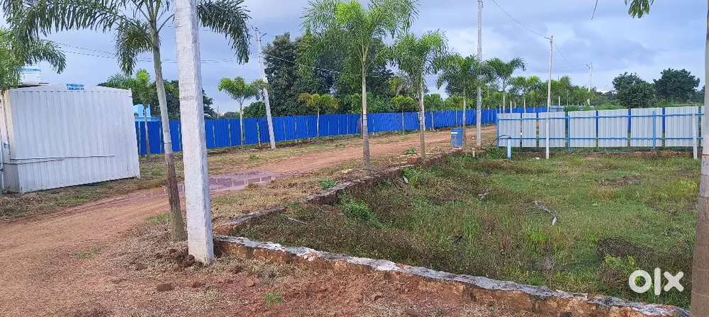 Trisulia sribanta pur project