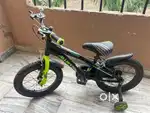 Allwyan Hoover bike