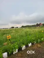 150gaj plot for sale in zirakpur Chandigarh