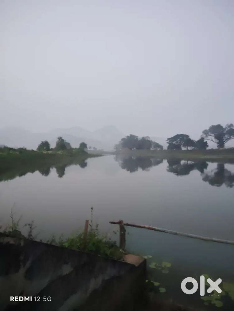 Sara bika, ghasa buda, kudiaaghara ,hagura point,crow fwlli,