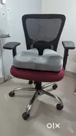 Ergonomic Office chair with Lumbar Support