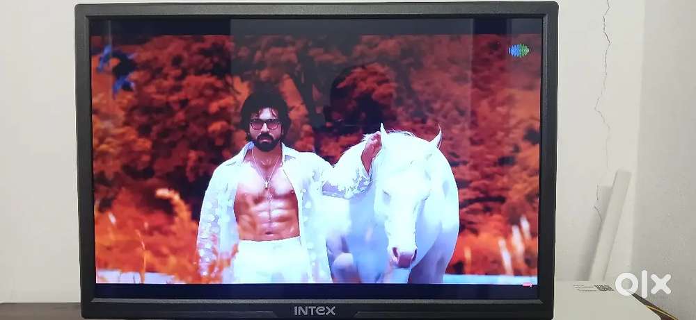 19 Inches Intex monitor new Monitor