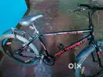Brand new cycle