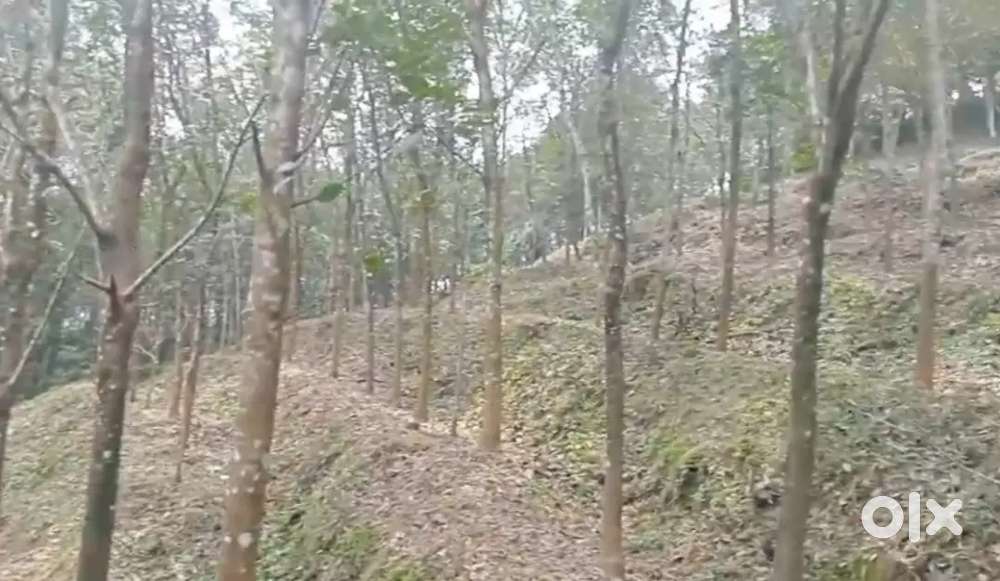 Konni to Pathanapuram highway Road 650meeter