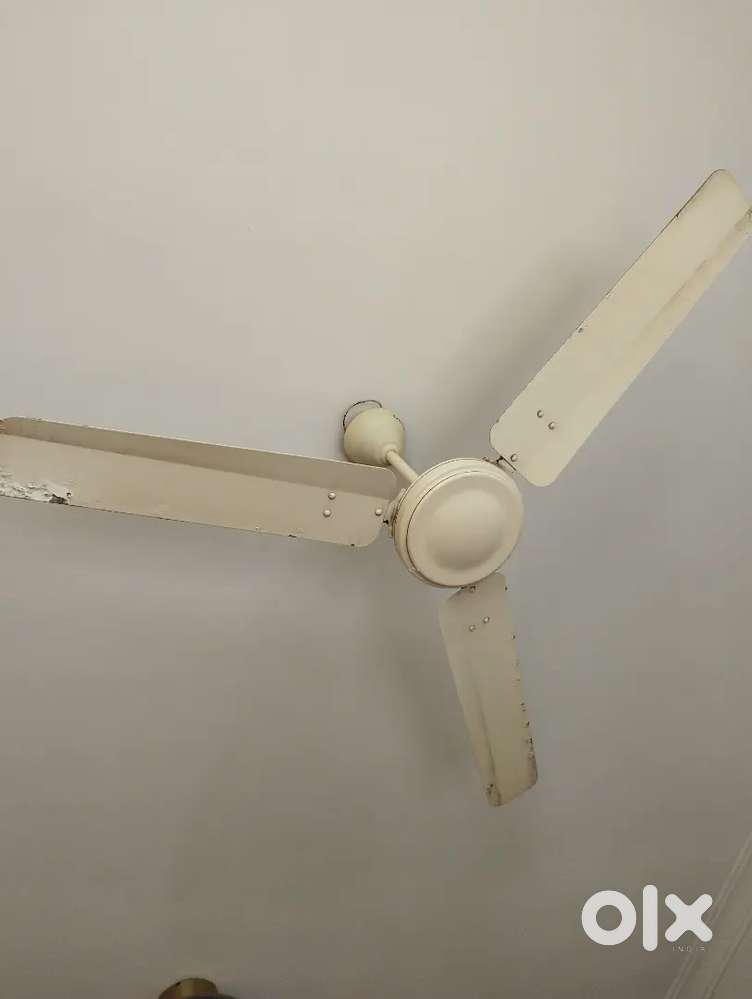 Crompton Ceiling fans