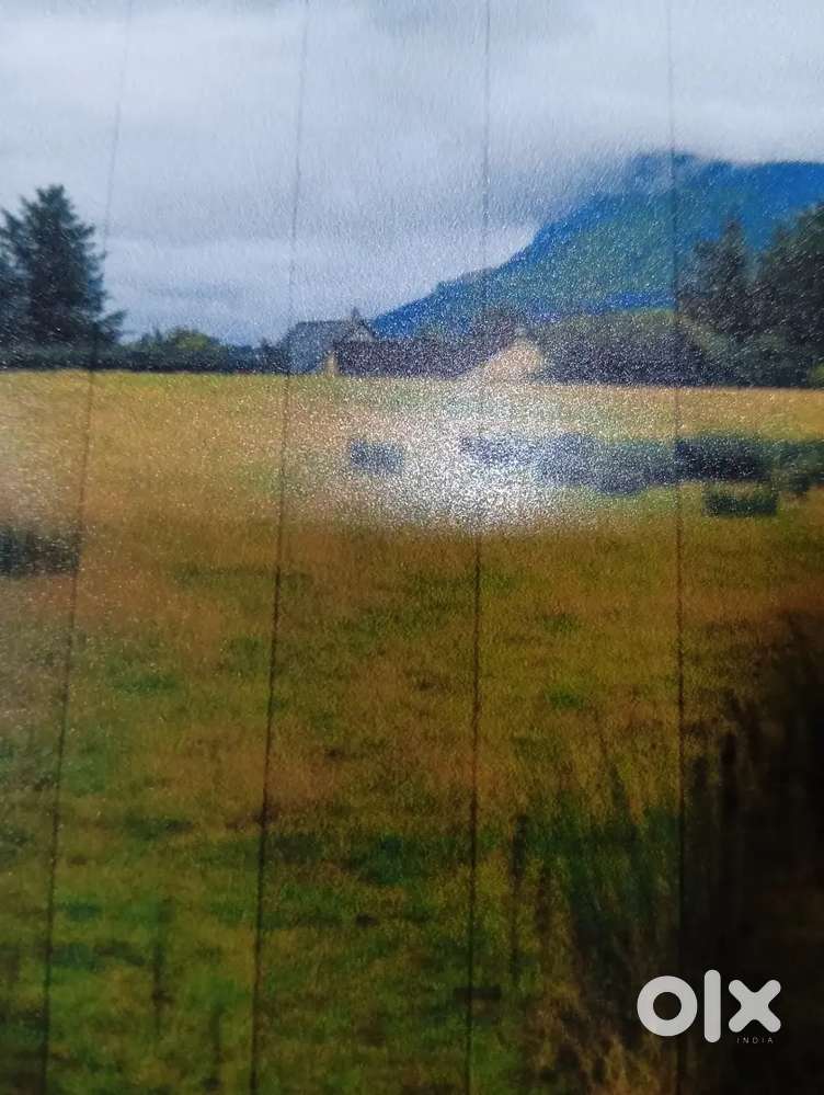 105 bigha land for sale in Ujjain MP@ 26 Lakhs per Bigha