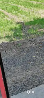 Ag. Land for rent
