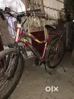 Bicycle for 15-16 year boy/girl