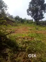30 cent property  for sale in anchal nettayam