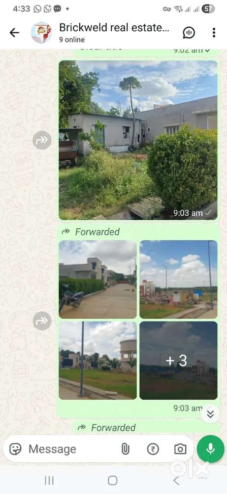 Nallur opp:Golden mile