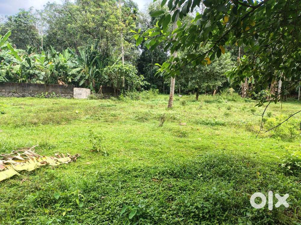 35 cent for sale- Just 2 km away from Konni Medical College