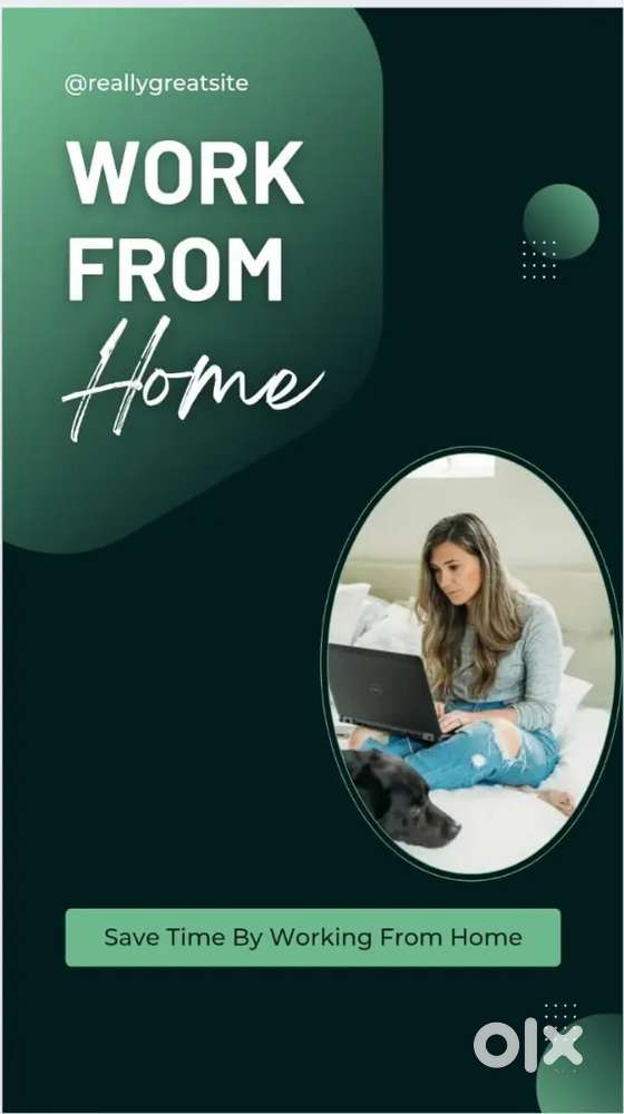 Providing work from home for students ,job person and housewife