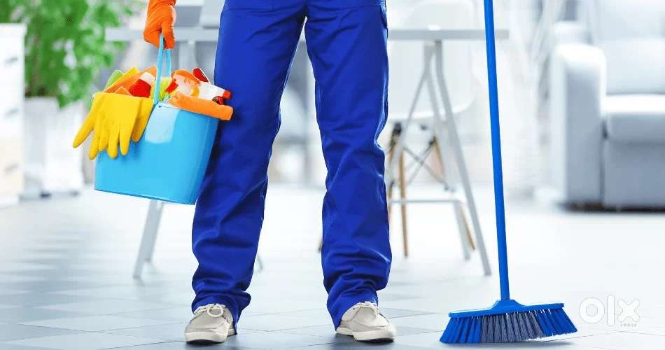 Cleaning Services