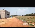 Puri harekrushapur
