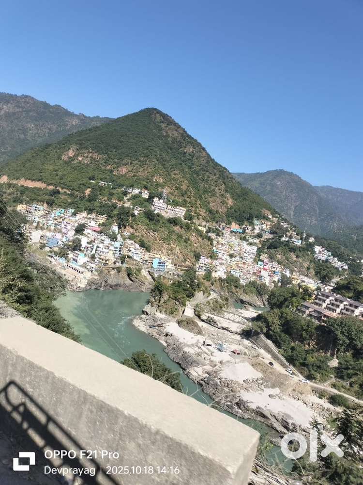 Urgent need for chinese cook