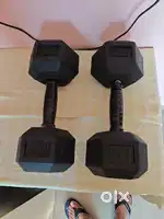 12.5 Kg Dumbbells for Home Gym