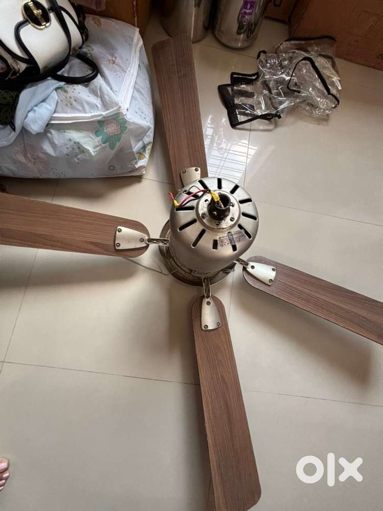 Bajaj ceiling fan