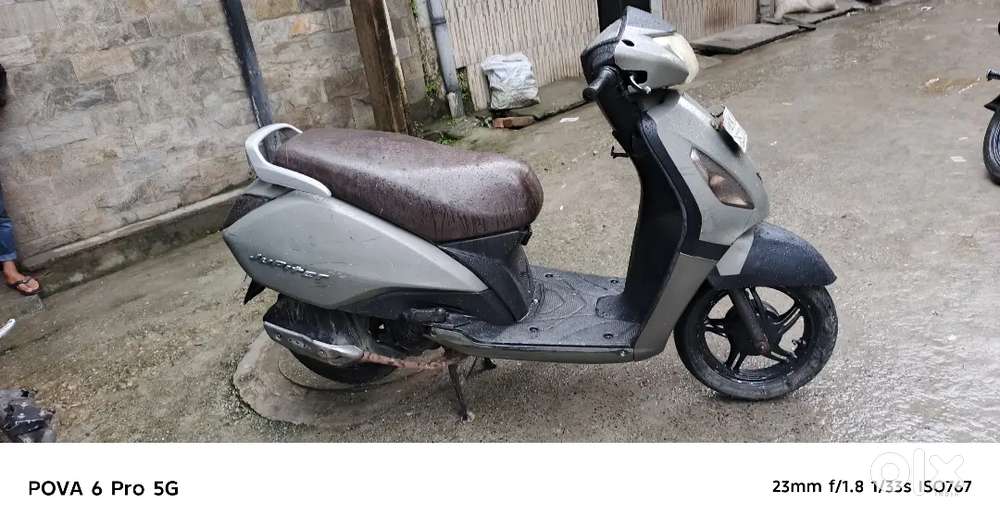 Fast honar