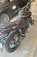 Honda Hornet