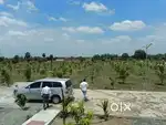 1/4 Acre Red Wood Trees - Organic Farmland  bear Highway @ Tindivanam