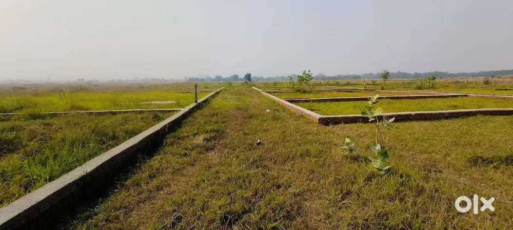 Yah Jamin Rahua ( musahari Muzaffarpur ) sabji Mandi ke pass hai