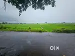 BEST INVESTMENT PLOT IN THIRD MAHA MUMBAI