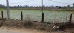 2 acre 20 gunta Agricultural land fro sale at kondapochamma sagar