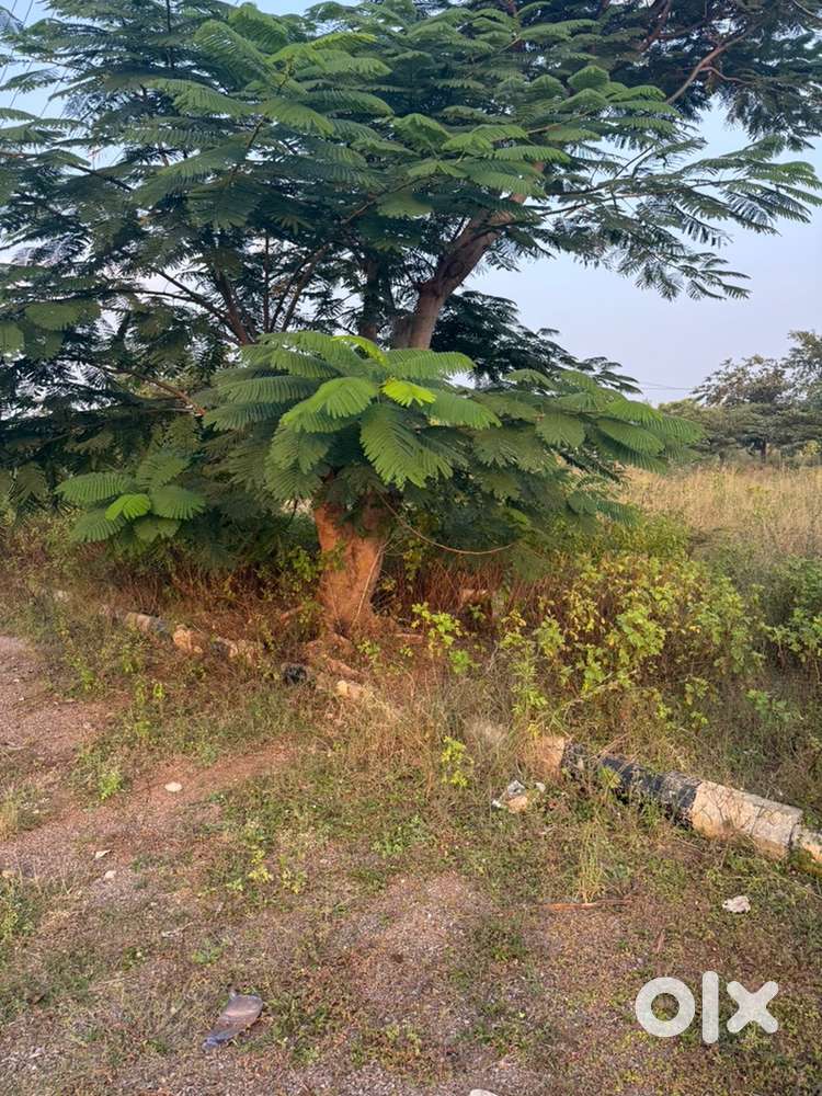 HMDA PLOT IN NEDUNUR KANDAKUR