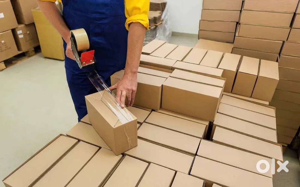 Packing scaner job werhouse