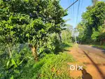 80 CENT LAND FOR SALE PERFECT ALL TYPE OF DEVELOPMENT @WAYANAD
