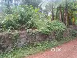 6 cent near nirmala hospital vellimadukunnu