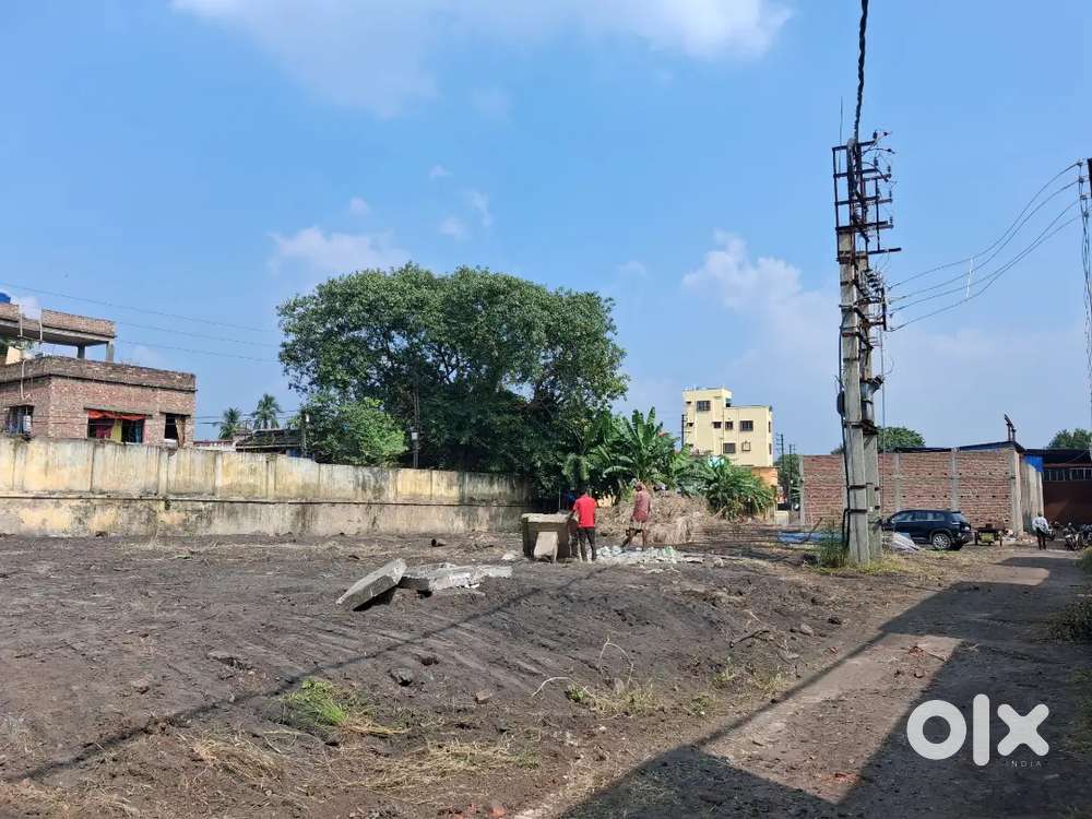 Urgently Sale our plot