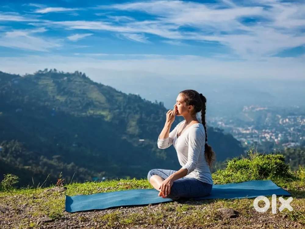 Yoga teacher ( government Certified)