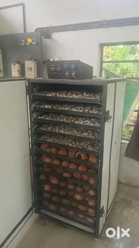 Flour mill machineries