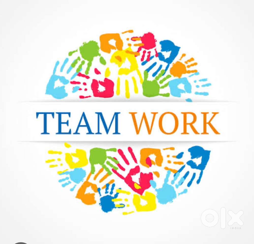 Need collection officer