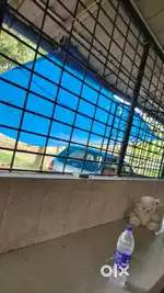 വീട്ടുജോലിക്ക് Lady ആവിശ്യം ഉണ്ട്