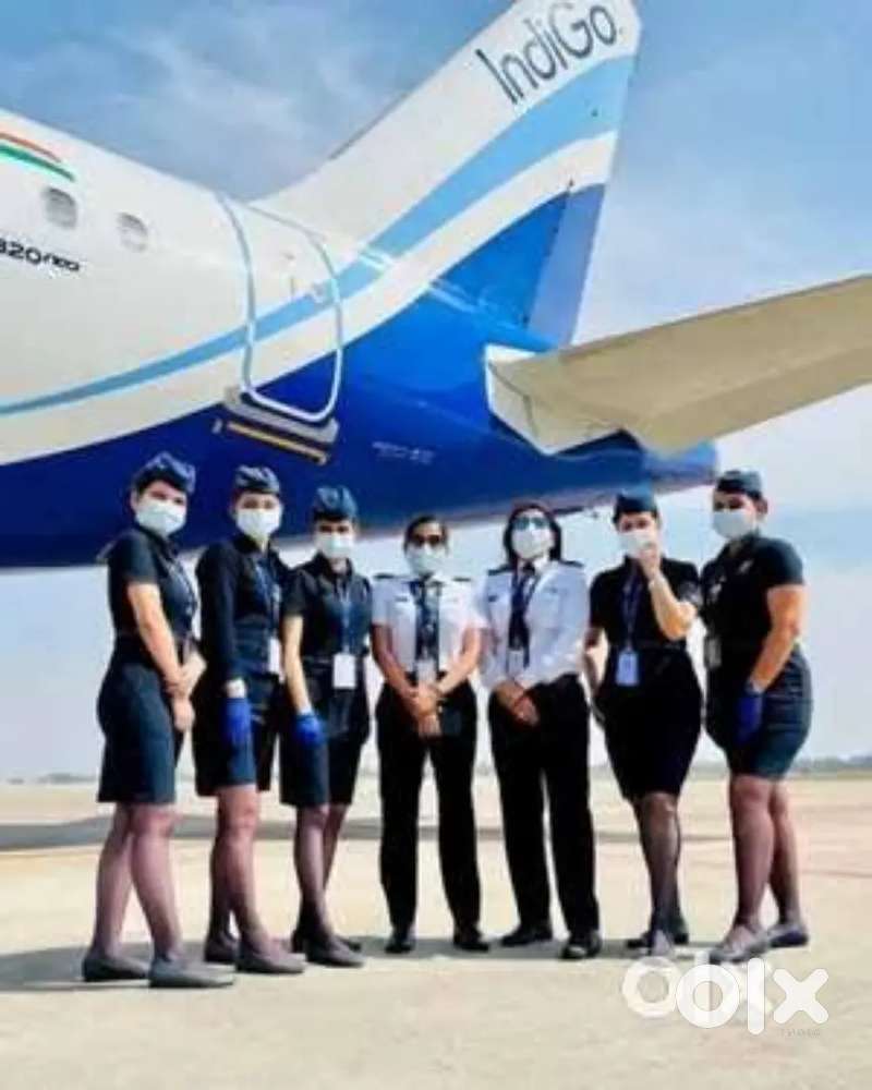 Indigo Airlines jobs /Vacancy for Airport Ground staf / Driver / Crew