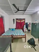 Single room rent for bachelors near infopark and rajagiri, noel focus