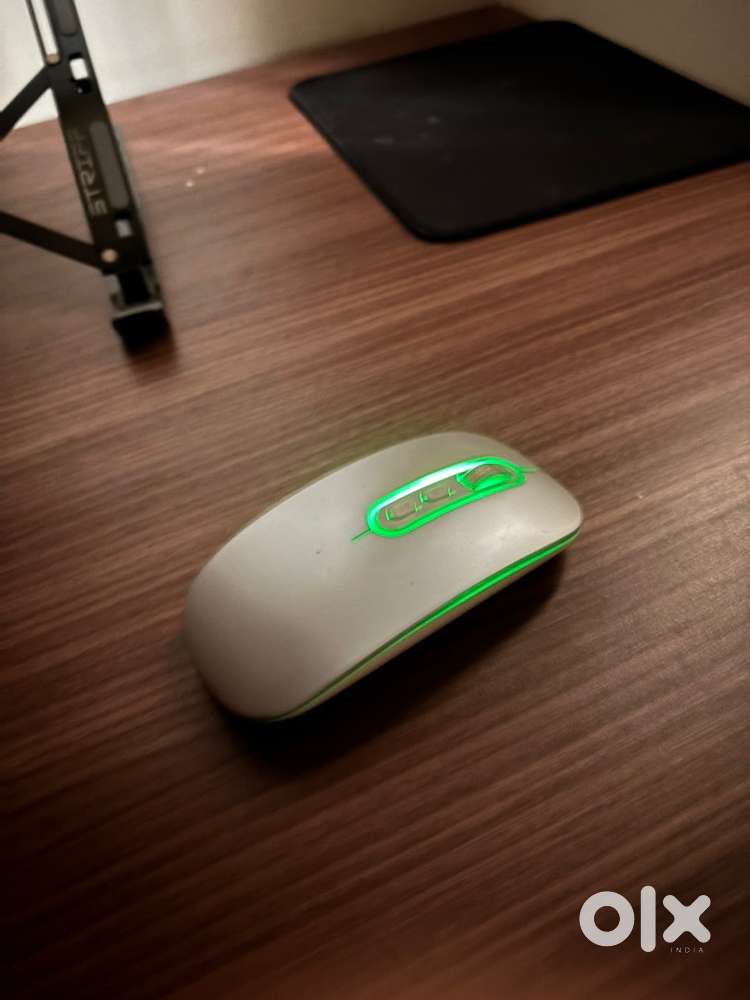 Mouse (bluetooth / wireless)