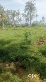 NADUMGOLAM 11 CENT VILPANAYIKK
