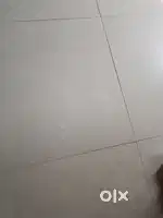 For short family