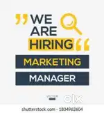 Field sales executive
