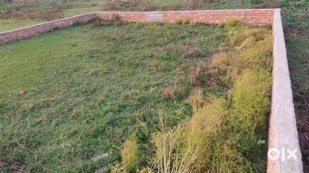 2.5 kattha land for urgent sale