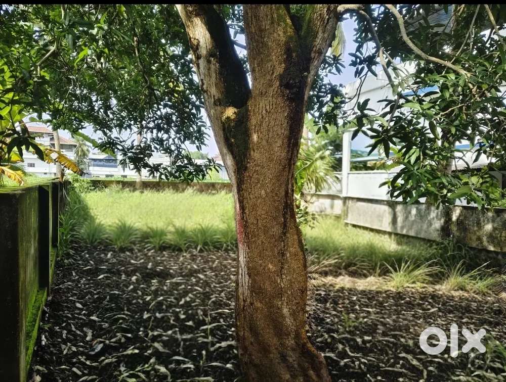 4.5CENT POSH RESIDENTIAL PLOT FOR SALE IN ELAMAKKARA