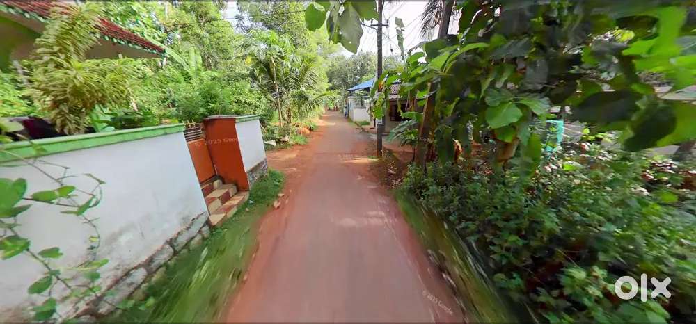 10 cent low budget plot for sale