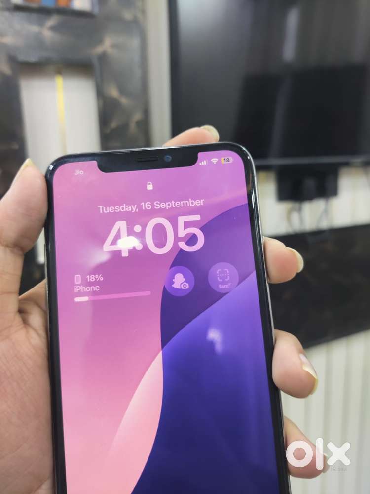 11 Pro Max 256 GB vairent white color
