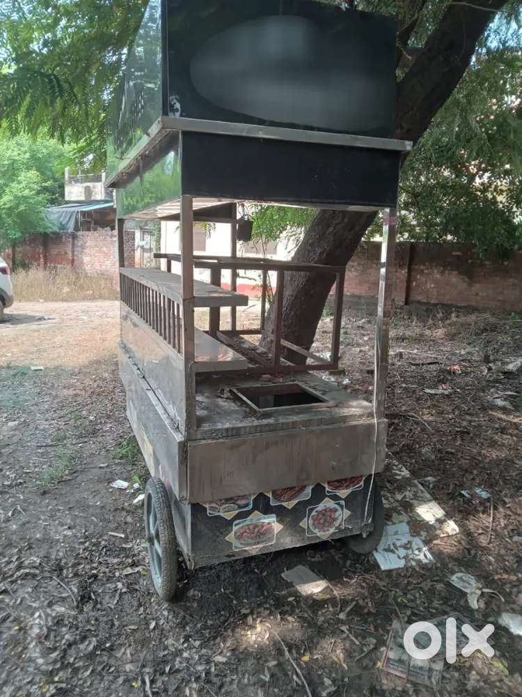 Heavy duty Fully stainless steel food cart (thela)