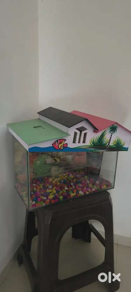 Fish Tank 2.0